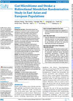 Gut Microbiome and Stroke: a Bidirectional Mendelian Randomisation Study in East Asian and European Populations